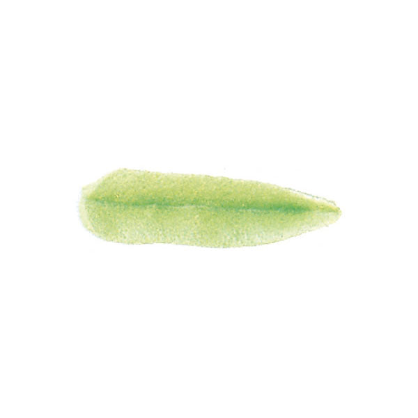 צנטר 74 עלה Wilton