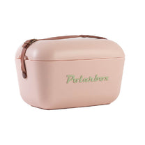 צידנית רטרו 20 ליטר אפרסק/חום Polarbox