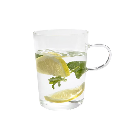 כוס זכוכית גבוהה Bistro עם ידית Roso 450ml