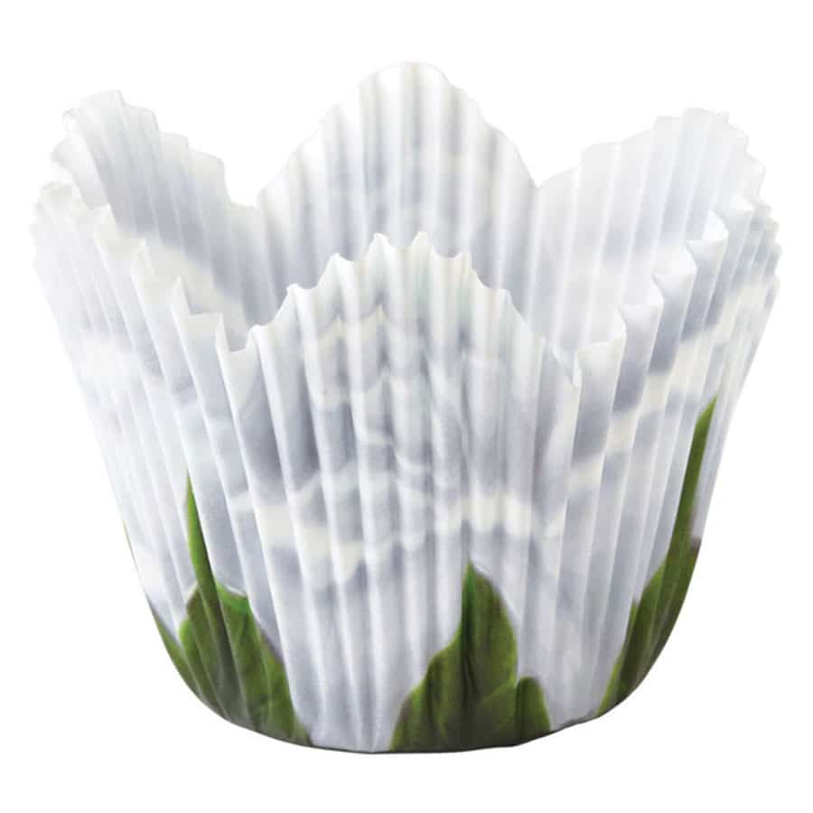 מנג'טים עלה כותרת שושנה לבנה Wilton