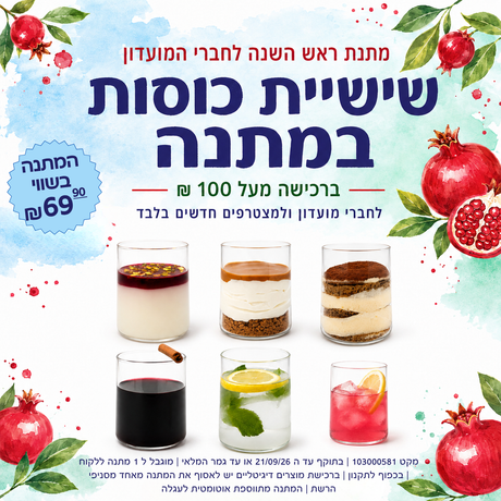 סט 6 כוסות זכוכית 320 מ"ל